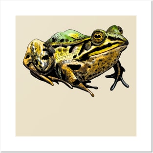 toad Posters and Art